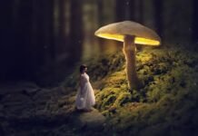 Glowing Mushroom – Photoshop Fantasy Manipulation Tutorial